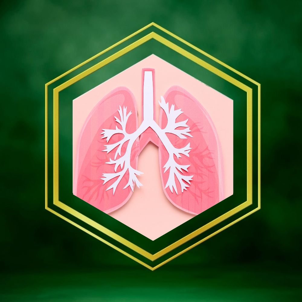 Lungs Care
